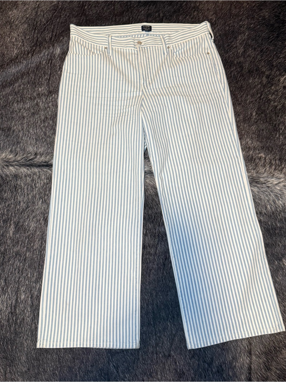 J. Crew Blue and White Striped Chino Pants
